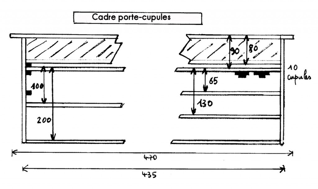 porte_cupules