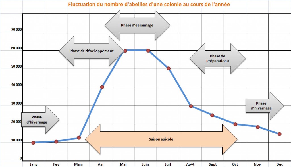 nombre-abeilles