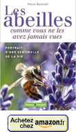 marechal-abeilles-comme-vous-ne-les-avez-jamais-vues-a