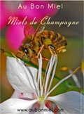 image-pour-catalogue-pdf